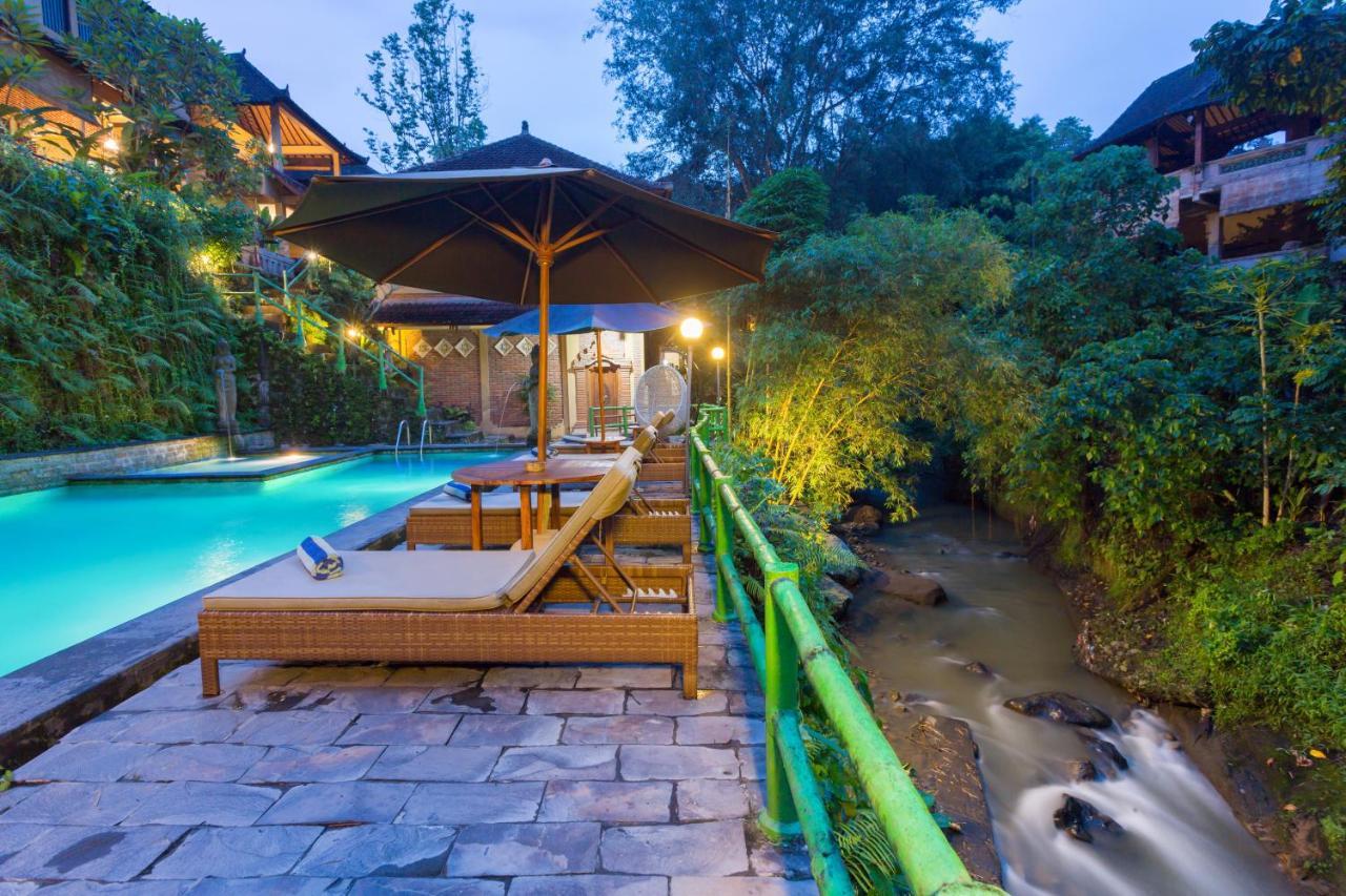 Ani'S Villas Ubud Exterior foto